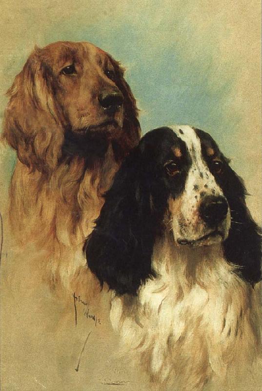 John emms English Springer Spaniels at Rest